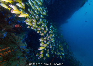 Malos Corner
Nikon D200, 12-24mm nikon , two strobo
Ari... by Marchione Giacomo 